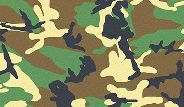 defence
